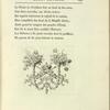 Cul-de-lampe Ch. 7