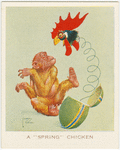 A "Spring" chicken.