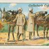 Indian mule transport.
