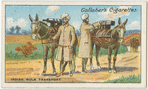 Indian mule transport.