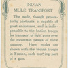 Indian mule transport.