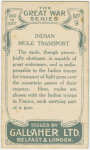 Indian mule transport.
