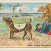 Dogs used to find wounded.