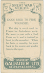 Dogs used to find wounded.