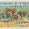 Belgian dog transport.