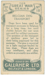 Belgian dog transport.