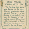Oxen hauling Servian artllery.