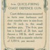 6-in. quicking firing coast defence gun.