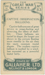 Captive observation balloons.