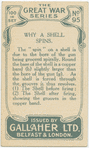 Why a shell spins.