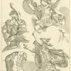Ancient warriors
