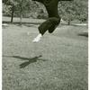 Merce Cunningham at Black  Mountain College