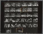 Gay Activist Alliance protest outside of 6th police precinct, Greenwich Village, New York, contact sheet