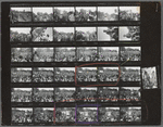 Christopher Street Liberation Day, 1970, contact sheet 3