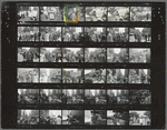 Christopher Street Liberation Day, 1970, contact sheet 4