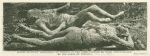 Bodies recently discovered at Pompeii, in the same position as when overwhelmed by the ashes of Vesuvius