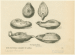 Egyptian lamps