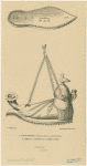Lampe romaine, du temps de Juvénal, d'après Balduinus ; Semelle ou dessous de la même lampe