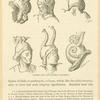 Gallic and Gallo-Roman helmets