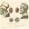 Milziade, Temistocle &c.
