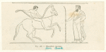 Éducation equestre