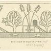 Huts built on piles in Pun-t [i.e., Punt]