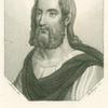 Plinius der Ältere.
