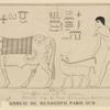 Taking ox and cattle to pasture