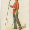 Drum Major. Present day.