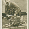 The hare-1.