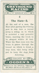 The hare-2.
