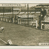Handicapping.
