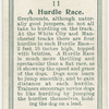 A hurdle race.
