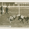 A race in progress.