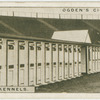 The racing kennels.