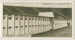 The racing kennels.