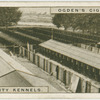 White City kennels.