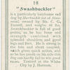 "Swashbuckler"