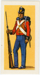 Infanterie Anglaise.