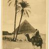 Cairo