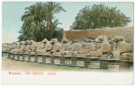 Karnak, the sphynx street