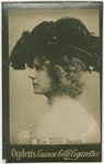 Miss Lizzie Daniels.