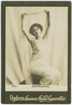 Cavalieri.
