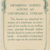 Swimming horses across unfordable stream.