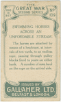 Swimming horses across unfordable stream.
