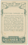 Scouting dodges.