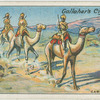 Camel Corps.