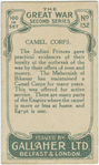 Camel Corps.