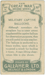 Military captive balloons.