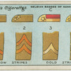 Belgian badges of rank - military.